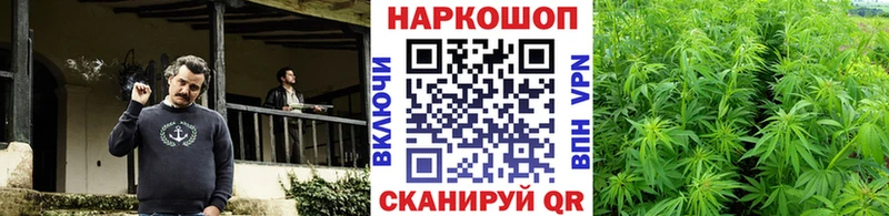 Наркошоп купить Гашиш  Канабис  Меф мяу мяу  Новотитаровская