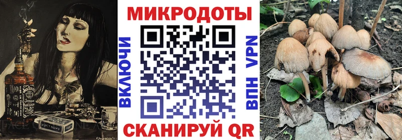Купить закладки  Новотитаровская  Псилоцибиновые грибы прущие грибы 